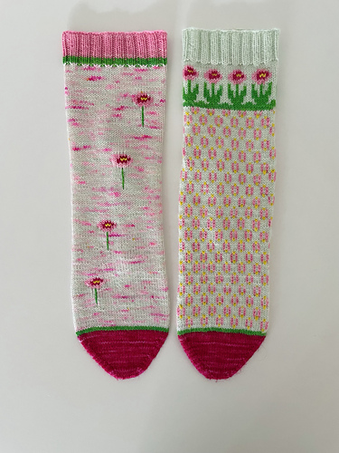 Bellis Socks photo 8