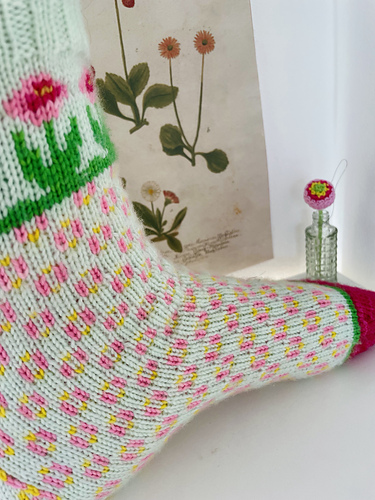 Bellis Socks photo 10