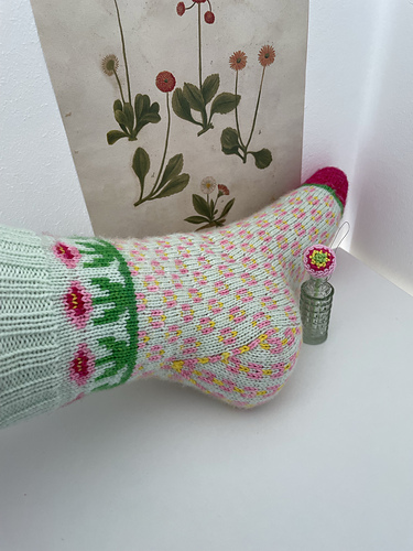 Bellis Socks photo 9