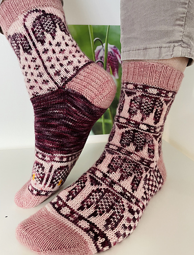 Fritillaria Socks photo 1