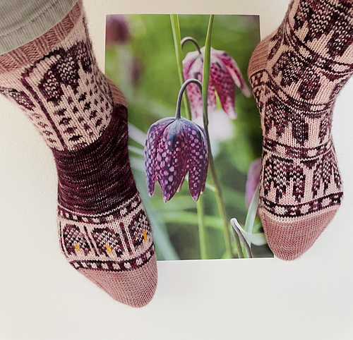 Fritillaria Socks photo 5