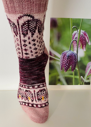 Fritillaria Socks photo 3