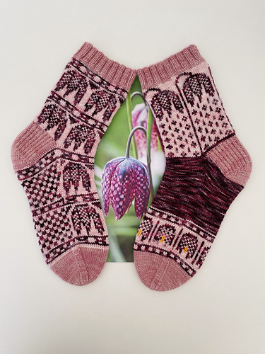 Fritillaria Socks photo 2