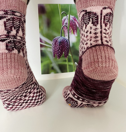 Fritillaria Socks photo 6