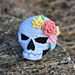 Skull & Roses pattern 