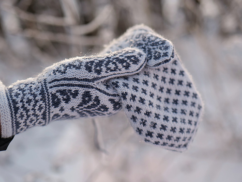 Fortuna votter - Inger Berg