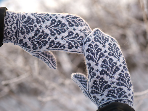 Fortuna votter - Inger Berg