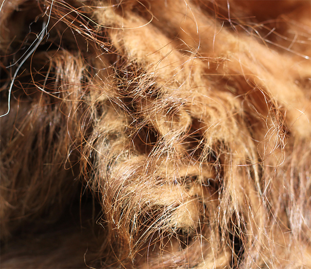 Ravelry SpinSpun Raw Guanaco Fibre