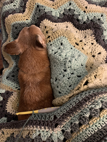 6-Day Superstar Blanket - Betty McKnit