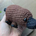 Platypus pattern 