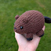 Beaver pattern