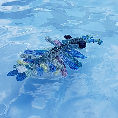 Anthracite the Anomalocaris - Zoe Buchanan