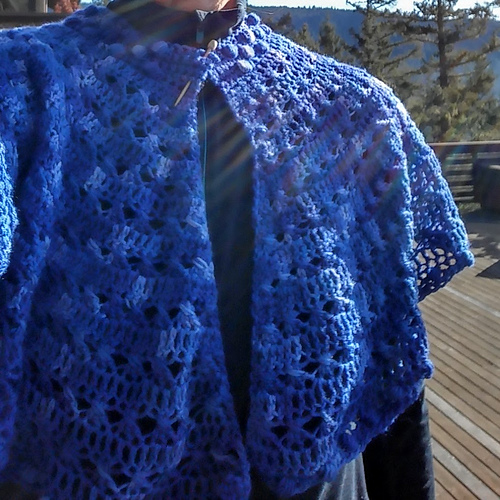 Born to the Purple Capelet photo 1