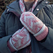 Snug as a Bug Mittens pattern 