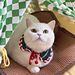 Pidan Christmas Collar pattern 