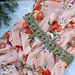Floral Belt pattern