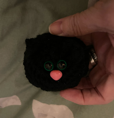 Black Cat Buddy photo 5