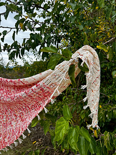 Shawl Frida