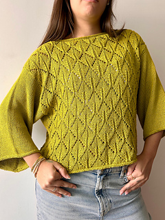 Blusa Indi