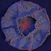 Lévogyre dextrogyre photo 3