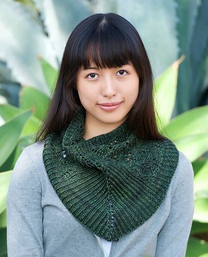 Ravelry: Linden Loop pattern by Carina Spencer