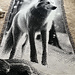 Overlay Mosaic "SNOW WOLF" pattern