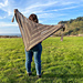 Cave of Wonders Triangle Shawl pattern 