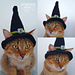 Tabitha Witch's Cat Hat photo 2