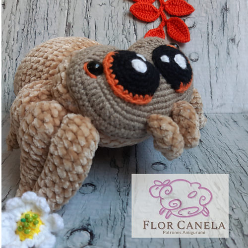 Lucas the Spider - Celene Montoya