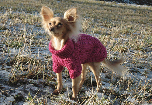 Cirkeline Hundegenser - ChalinCirkeline borgund