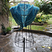 Azora pattern