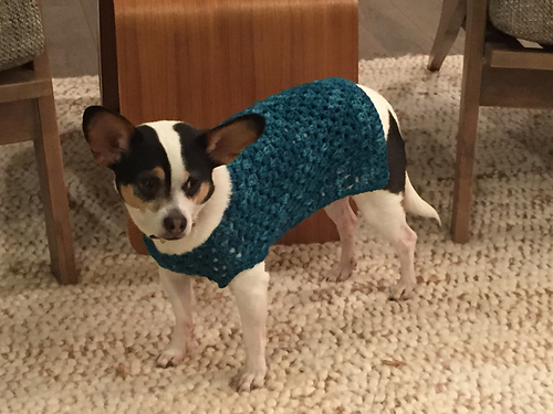 Well Dressed Dog Coat photo 8