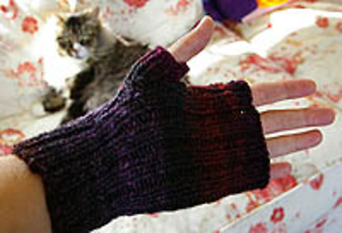 Maine Morning Mitts photo 2