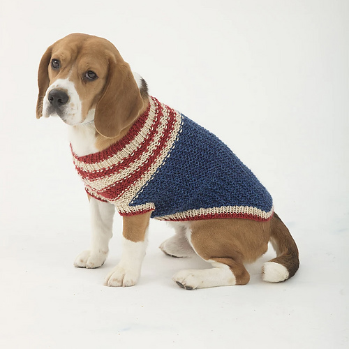 The Patriot Dog Sweater photo 1