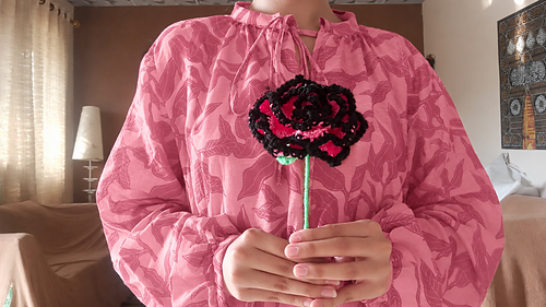 Black Pink Rose