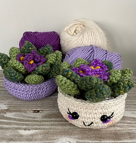 African_Violet_2_medium.jpg