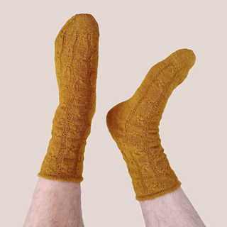 Mustard-gold socks with a knotty-cable pattern on a garter background with a baby hem cuff. They are on feet; one pointed and one flexed, on a dusty pink background.