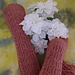 Segue pattern 