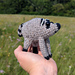 Jimothy Seattle Raccoon pattern 