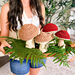 Wheat Stitch™ Mushrooms pattern