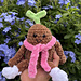 Crochet Focus Friend Bean Plushie (knitting bean) pattern