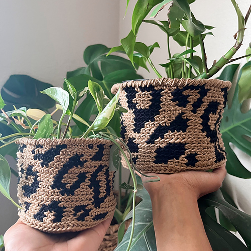 Luxe Leopard Basket - Kelsie Weeks