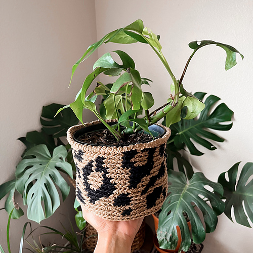 Luxe Leopard Basket - Kelsie Weeks