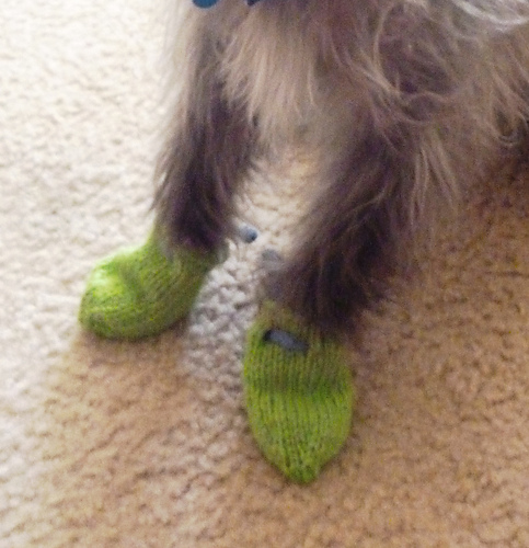 Paw Socks photo 6