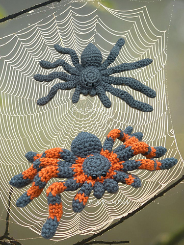 Tarantula - Jenila Mathialagan