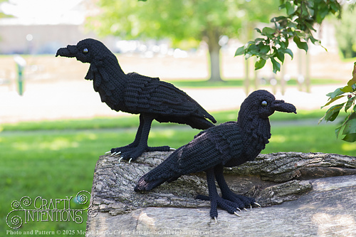 Ravelry: Standing Raven pattern by Megan Lapp