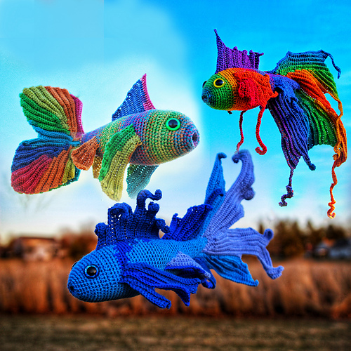 Fancy_Fish_Set_2_Guide_fo_rave