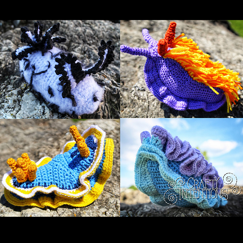 Nudibranch: Set 2