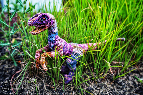 Velociraptor - Megan Lapp