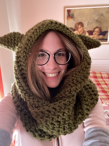 Yoda Scoodie photo 2